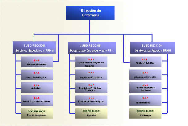 Organigramas 01